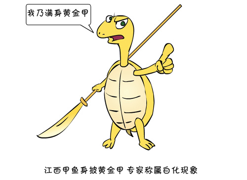 新闻浮世绘江西甲鱼身披黄金甲专家称属白化现象