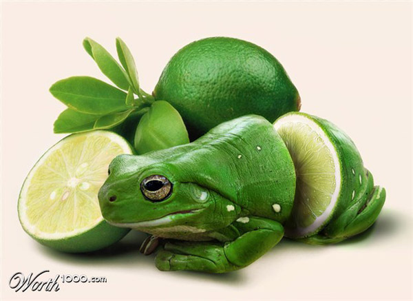 创意图片变异青蛙的欢乐生活