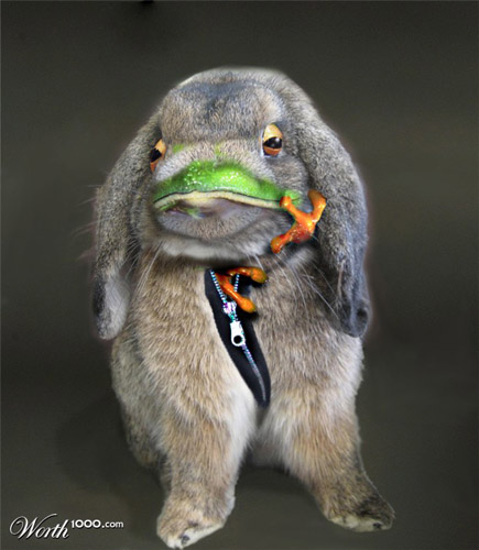 创意图片变异青蛙的欢乐生活