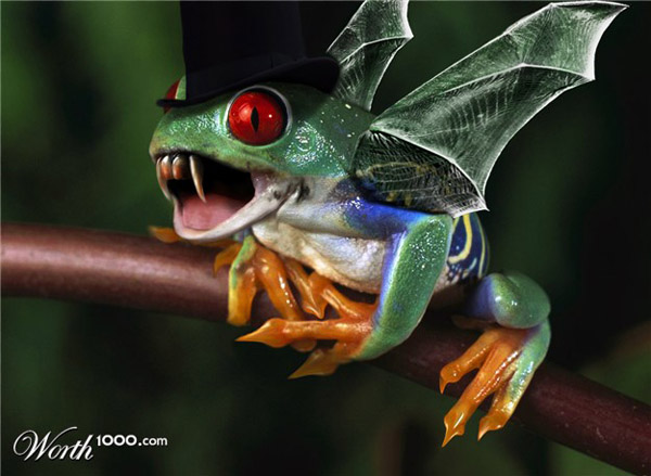 创意图片变异青蛙的欢乐生活