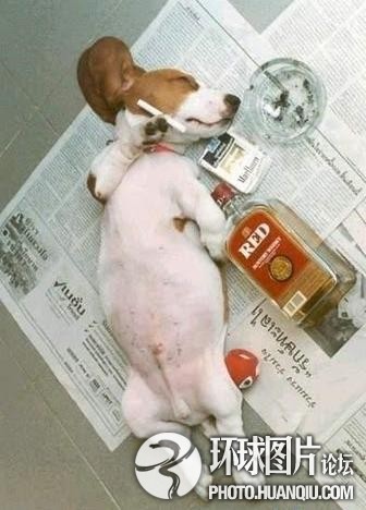 做梦都能笑醒的雷人图