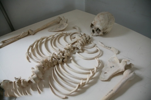 你没见过的北京人骨仓库