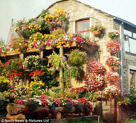 英国夫妇房子被鲜花掩映成独特风景