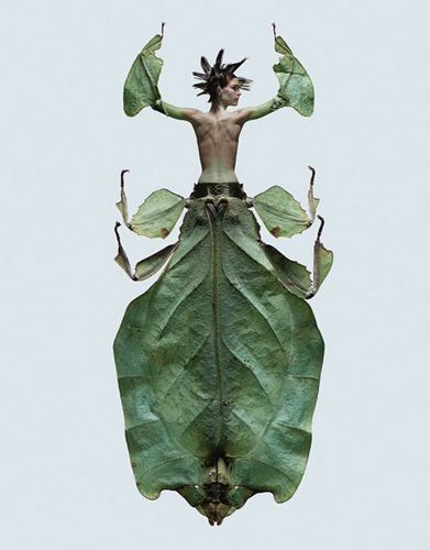 人头虫身惊爆眼球的另类唯美