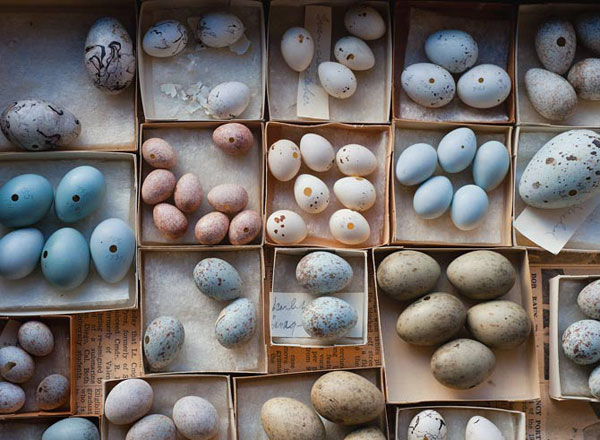 国家地理精选跟着镜头看世界