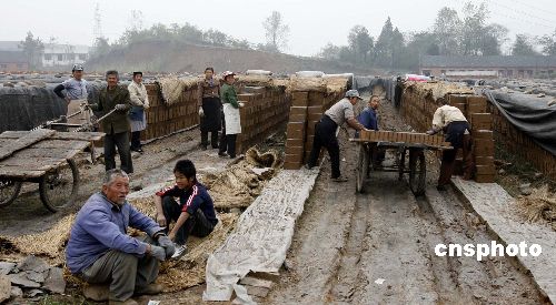图河南淅川砖窑场死灰复燃