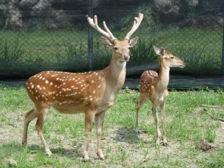 ̨����ɽ��÷��¹������½ ����԰������дף����