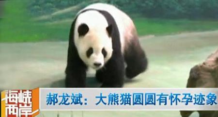 ̨���г���������̨����èԲԲ�л��м���ͼ��