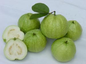 ��ʯ�񣨰��֣�