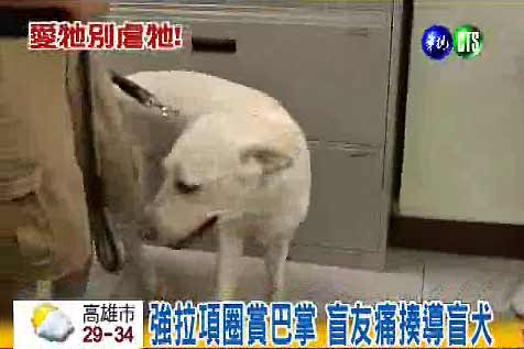 ��äȮ�����˵�����Ű���Ұ���ĬĬ���ܣ�ͼ��