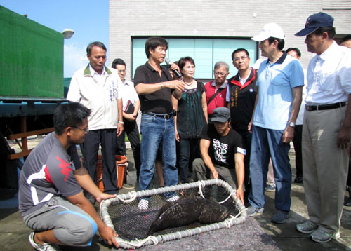 ̨��ҵ��:��Ӣ����û����ʯ�߲�ҵһ���ᡰ����