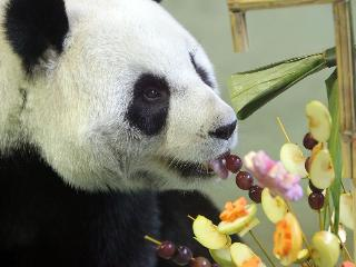 �����š�����ԲԲ��̨������԰�����մ󱥿ڸ�