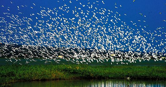 ̨������̶�����Ǩ��ɫ�续��ͼ��