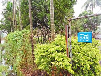 ��Ӣ�ĸ����ռ�ȫ�����Ѳ�������������ɣ�ͼ��