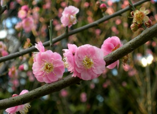 ̨�����������û�ʱ����ӣ����÷����������