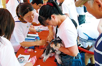 新北拟修养狗新规买狗先上生命教育课