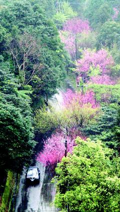 ̨�����ڷ���ӣ��������ӣ��������