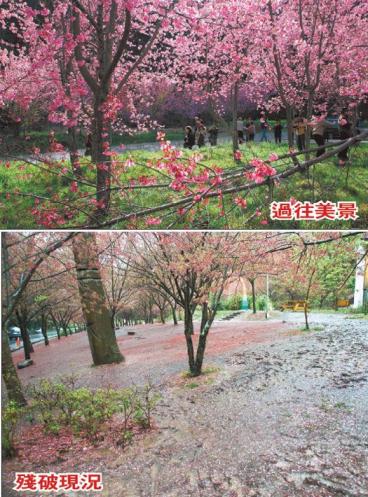 ̨������ӣ�������̤�����޸�����Ҫ����