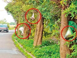 点图查看下一页