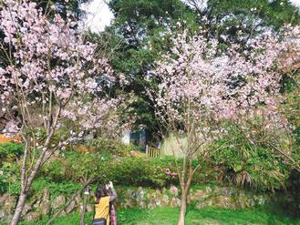 ����ɽӣ������7�����ͻ��������Ӵ�1.5����