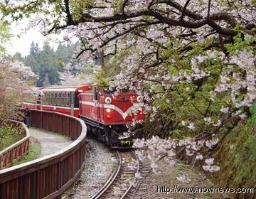 ����ɽӣ�������Ƿ����Ż��ÿ�������