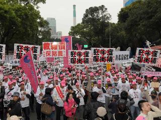 台猪农进行反瘦肉精牛肉抗议各党民意代表声援