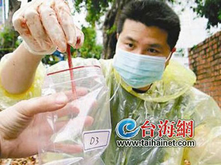 台“危鸡英雄”李惠仁:8年追拍《不能戳的秘密》