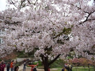 ����ɽӣ������Ļ������ͳ�׷�ÿ��Ҫ��30��