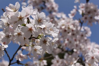 ����ɽӣ��������ӿ12���˼�����ѽӲ�������