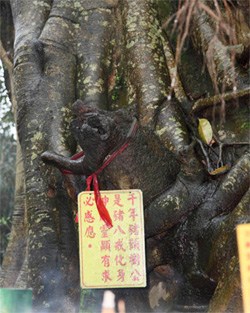 点图查看下一页