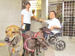 非法杀害千只流浪狗?台湾新北市动物保护官员否认