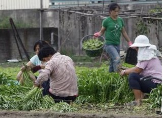 ̨���ϲ��ܺ�����Ϯũҵ��ʧ��700��