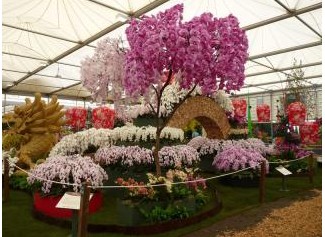 ̨�������׶ز�չ����ȫ��ӢŮ�����Ȳιۣ�ͼ��