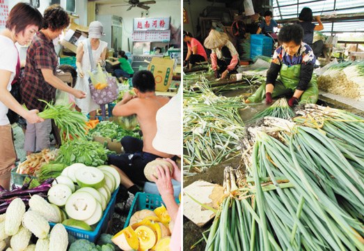 台风没来高丽菜涨到175元一颗台民众:社会病了