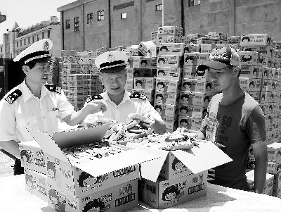 台湾食品登陆东山口岸呈现快速增长态势