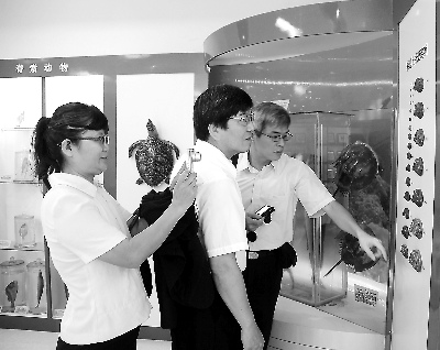 台卫生部门专家:盼与东山口岸加强食品安全合作