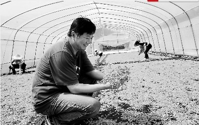 台商张世泽的“美丽花事”:我们卖良心产品