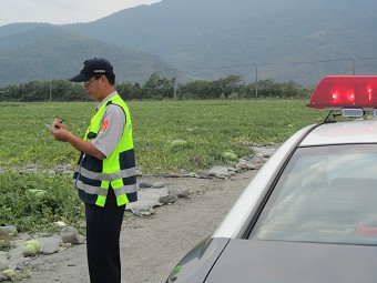 台东警方执行“护瓜”任务防止农民西瓜被偷