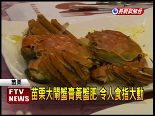 苗栗大闸蟹“回娘家”将赴沪参加大闸蟹评鉴赛
