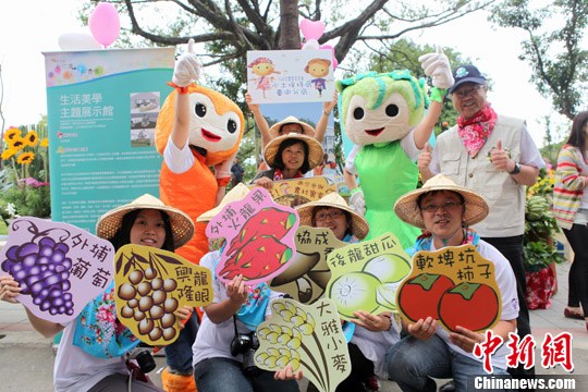 ��̨����ȹ۹�ʢ�¡����绨����ϵ�л���ǳ�