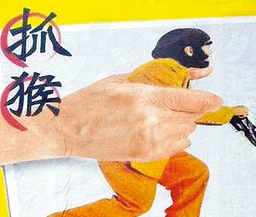 抓猴商标“侮辱猴子”台公司拟10万征LOGO