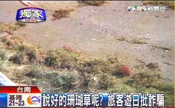 珊瑚草、金色麦田飞了台夫妇游日大呼被骗惨了