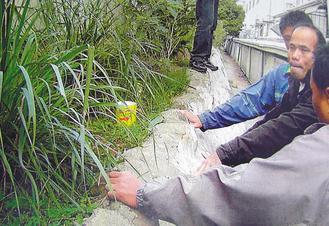 在台种大麻为炖鸡汤?泰藉劳工被捕辩称为解乡愁