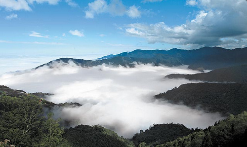 点图查看下一页