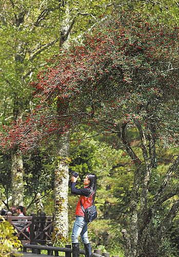 点图查看下一页