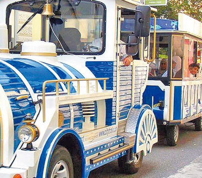 赏莲池潭美景高雄市拟推电动观光车(图)
