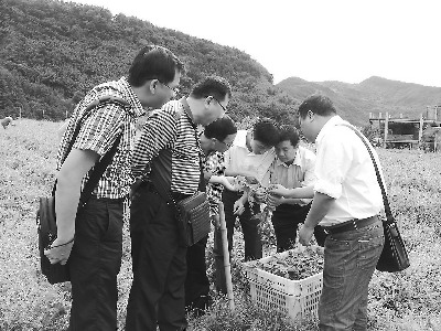 闽乡镇干部赴台学习:一粒米这样传递文化