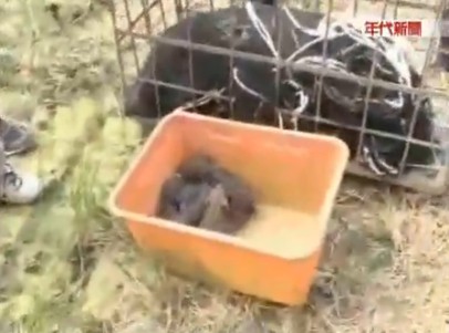 点图查看下一页