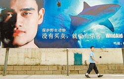 点图查看下一页