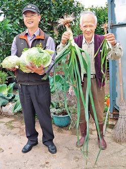 台湾老农种出1人高日本大葱种子曾在冰箱冻10年